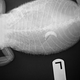 Illustration for article titled 5 X-Rays That Reveal The Craziest Things Pets Have Ever Swallowed